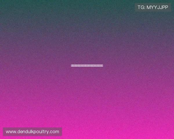 金玟哉：巴西队实力强大下半场加大逼抢展现威胁