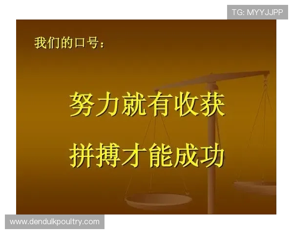 弗罗因德赛前预判对抗激烈依靠努力成功收获一分