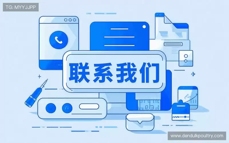 咨询交流